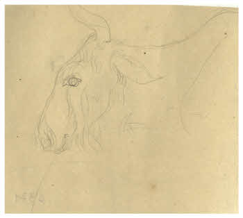 Visualizza l'immagine "FD D 371"